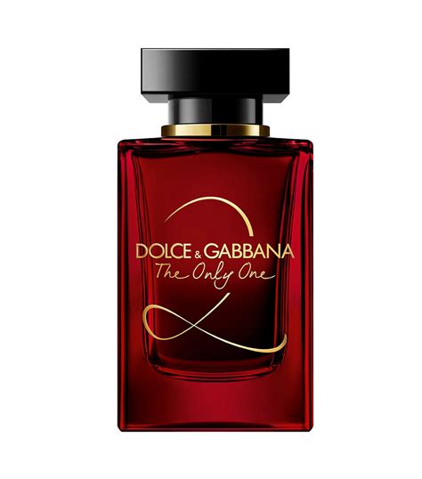 dolce gabbana unisex perfume|perfumes dolce and gabbana mujer.